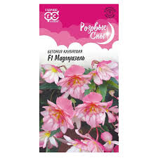 Бегония Мадемуазель 4шт (724008) 072473