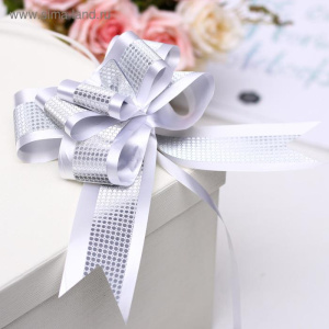 Бант-бабочка №5 с полосой, белый 1028057 Х1026582