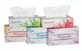 Салфетки Kaineko 250шт в ассорт Х893081