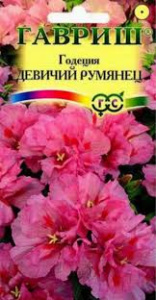 Годеция Девичий Румянец ЦВ 730751 62009