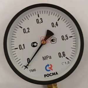 Манометр ТМ-610Р (0-0,6 МПа) М20*1.5 радиальный 03309