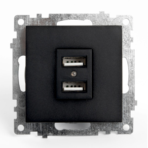 Розетка 2-гн, USB КАТРИН Черный GLS10-7115-05 39616