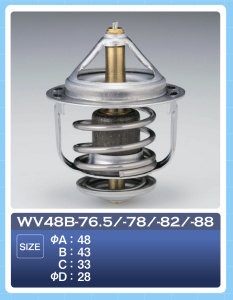 Термостат WV48B-76.5 ТАМА ТАМА-7