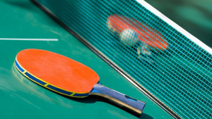 Сетка для настольного тенниса выдвижная СП83785