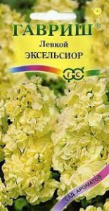 Левкой седой Айрон желтый ЦВ 734938 Х61965