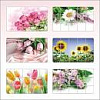 Пленка-стикер защитная 60*90 см. 457-020 009844 - купить во Владивостоке, фото товара