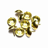 Гвозди декоративные 20мм  золото 977466 - купить во Владивостоке, фото товара