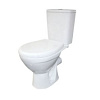 Унитаз-компакт напольный ROSA СОЛО  2-реж., 3/6 л. 10158 - купить во Владивостоке, фото товара