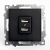 Розетка 2-гн, USB КАТРИН Черный GLS10-7115-05 39616 - купить во Владивостоке, фото товара